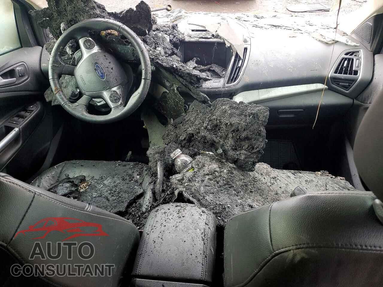FORD ESCAPE 2013 - 1FMCU0HX2DUA70080