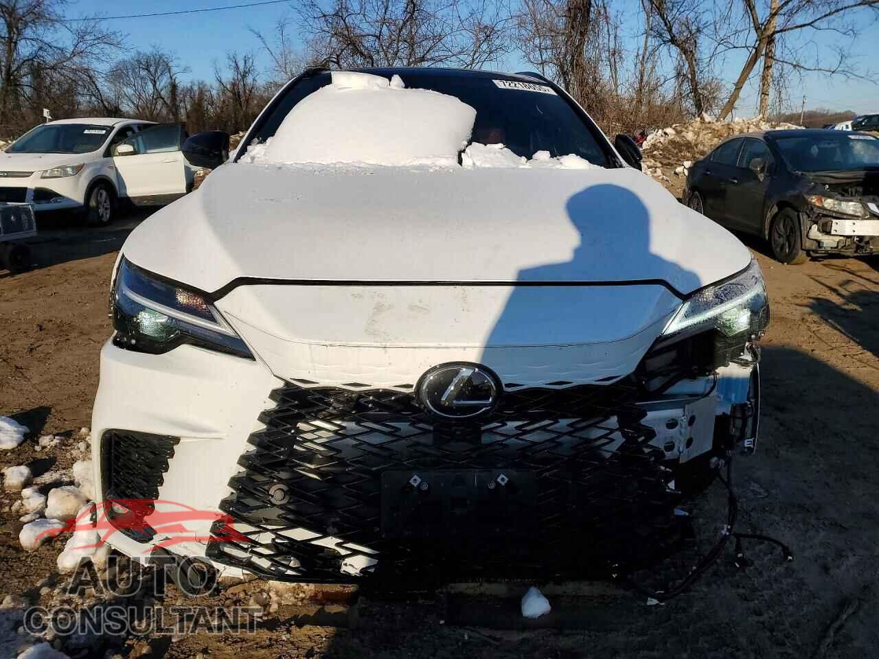 LEXUS RX 500H F 2024 - 2T2BCMEA8RC013652