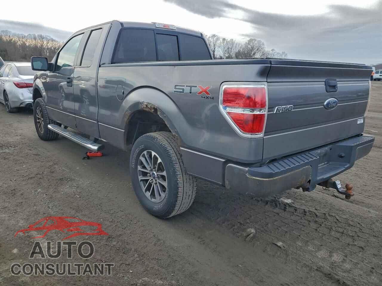 FORD F-150 2010 - 1FTEX1EW8AFB67287