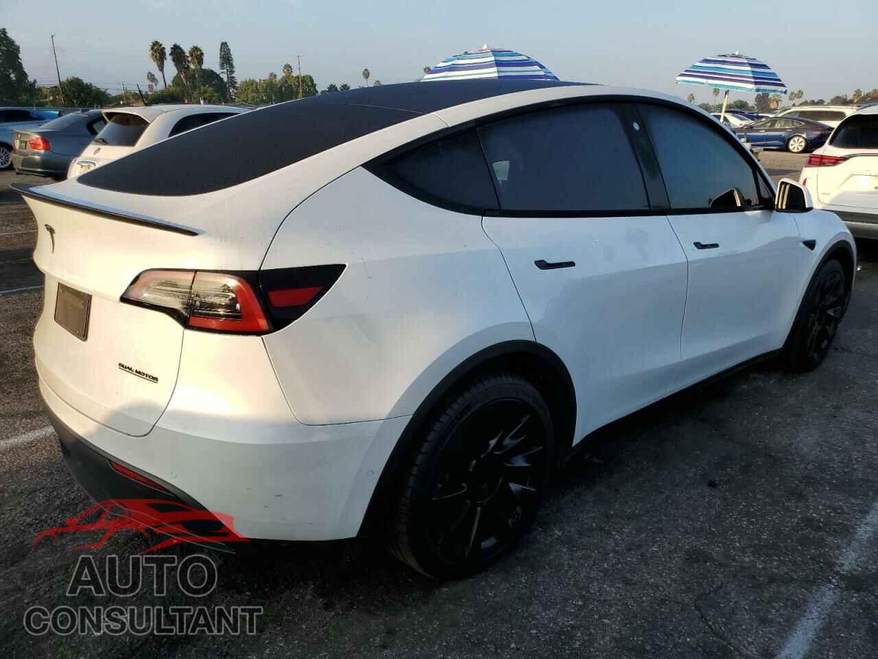 TESLA MODEL Y 2022 - 7SAYGDEEXNF380521