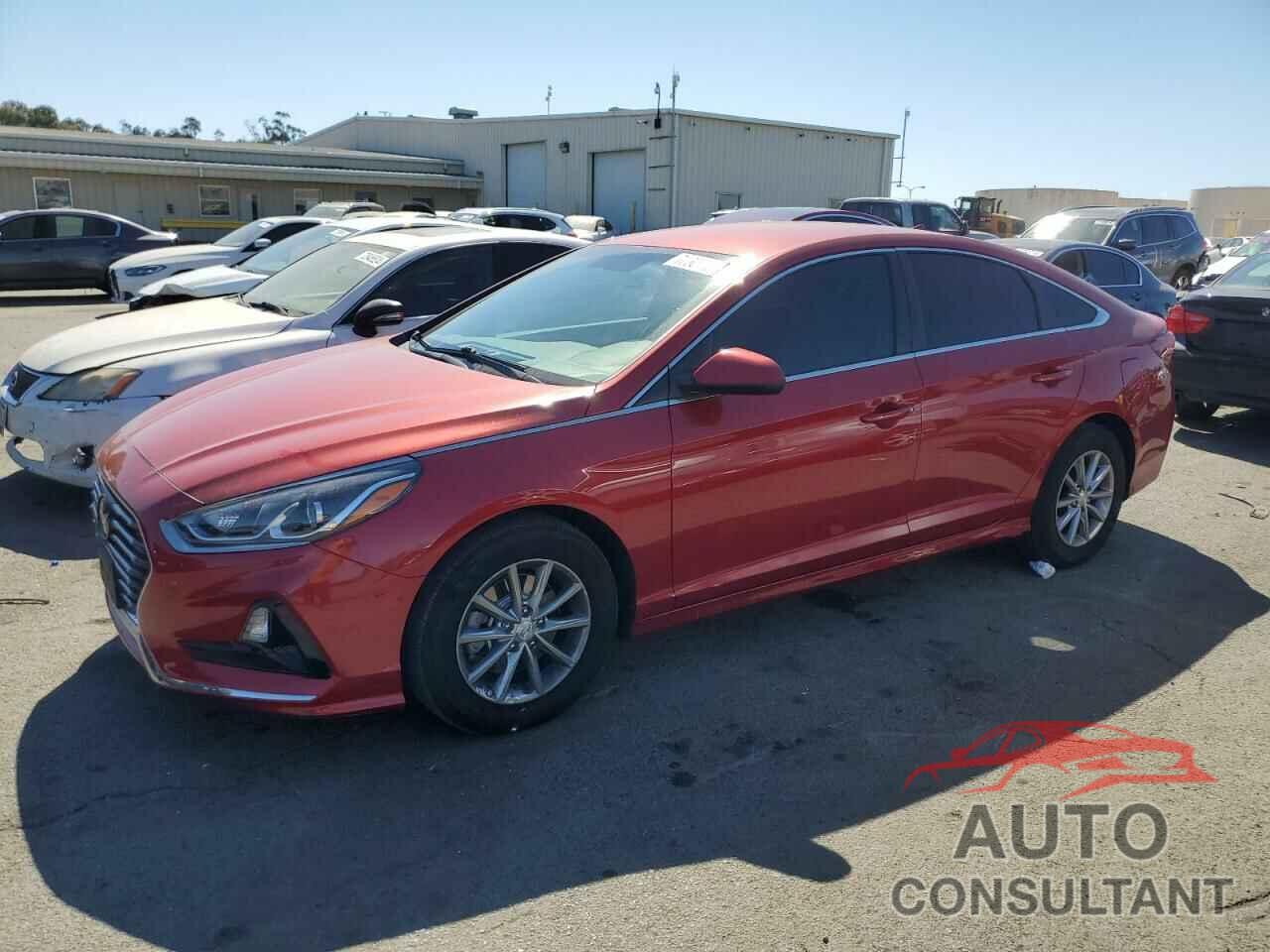 HYUNDAI SONATA 2019 - 5NPE24AF6KH793370