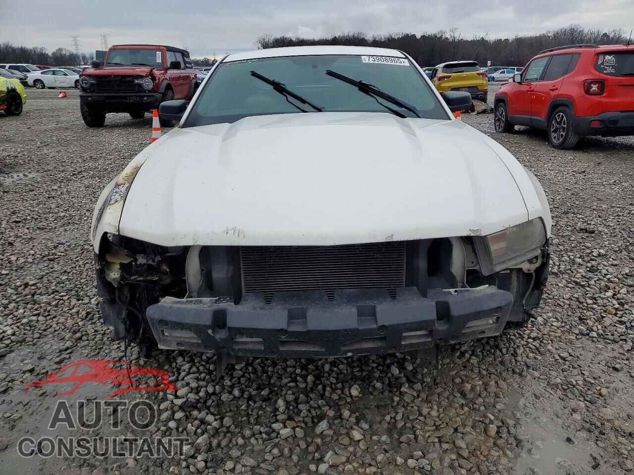 FORD MUSTANG 2010 - 1ZVBP8AN5A5106541