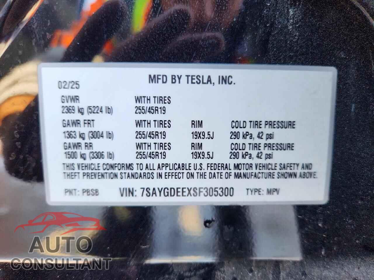 TESLA MODEL Y 2025 - 7SAYGDEEXSF305300