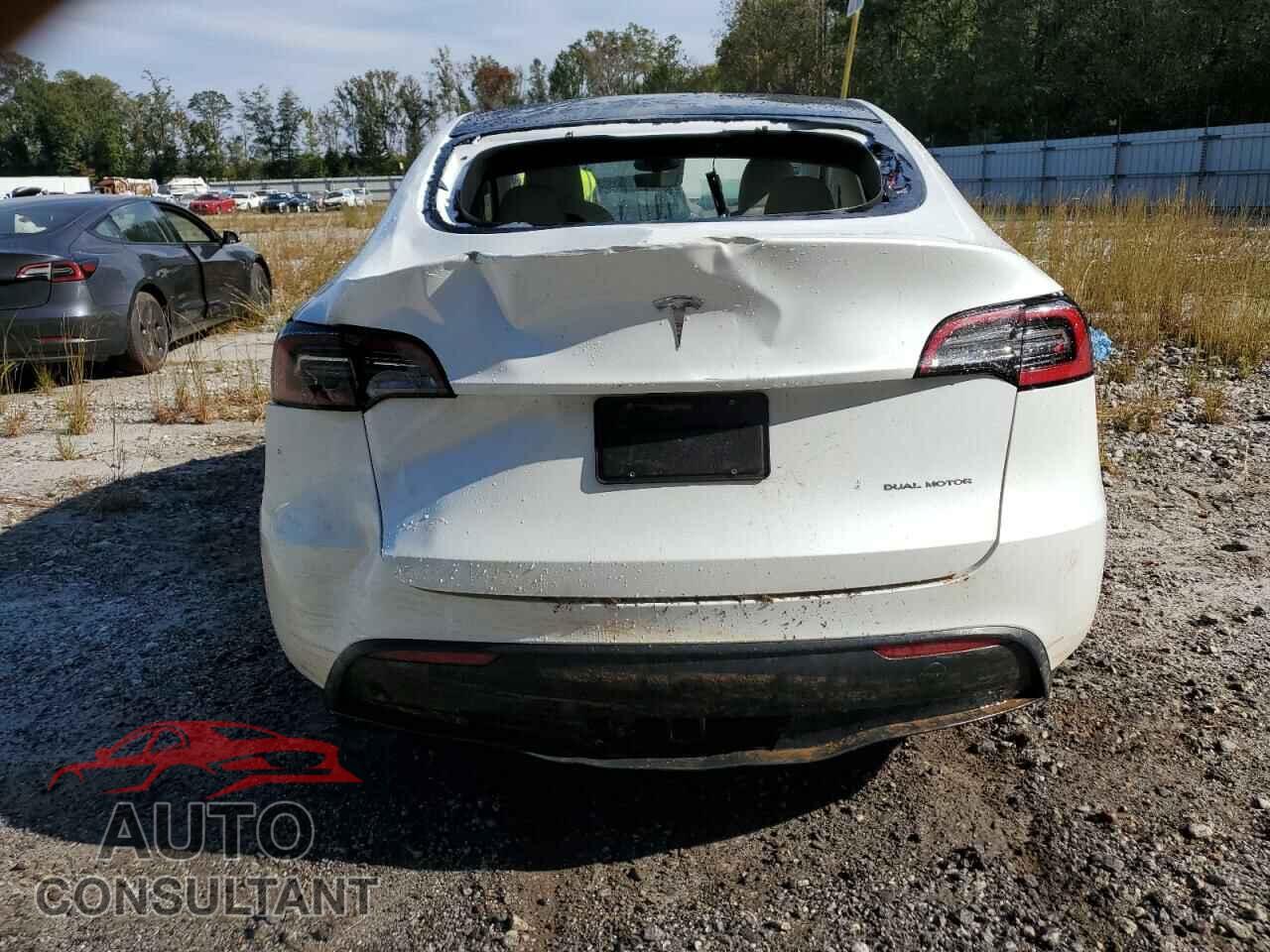 TESLA MODEL Y 2024 - 7SAYGDEE7RF993704
