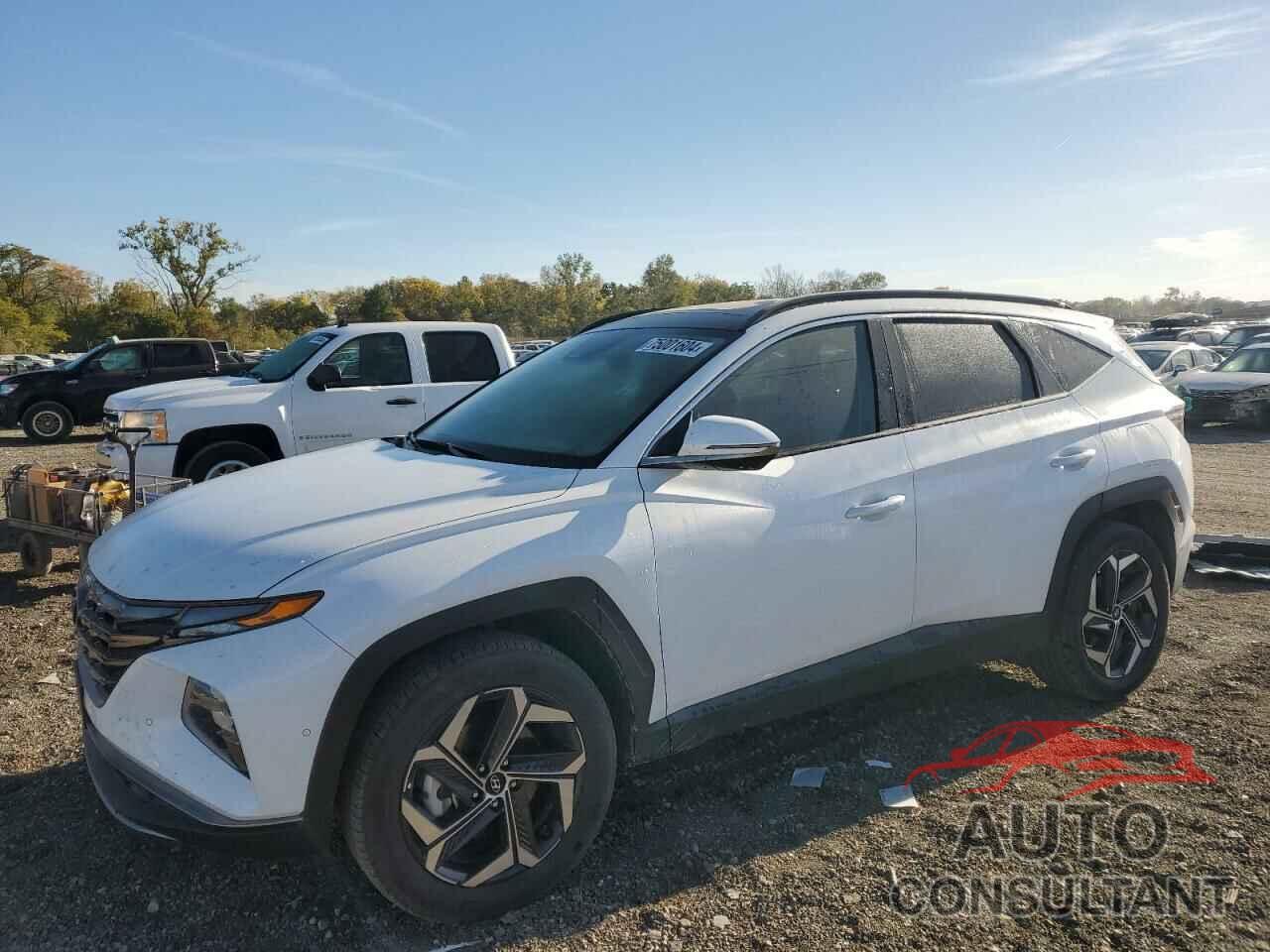 HYUNDAI TUCSON 2022 - KM8JECA13NU083420