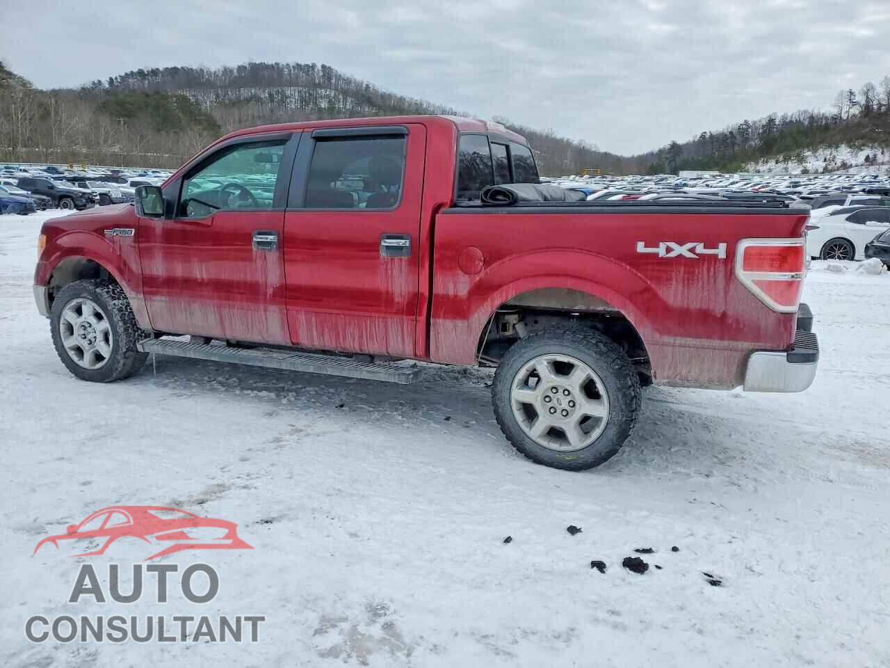 FORD F150 2013 - 1FTFW1EF8DFD25459