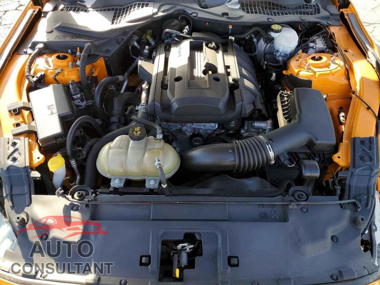 FORD ALL Models 2019 - 1FA6P8TH2K5169292