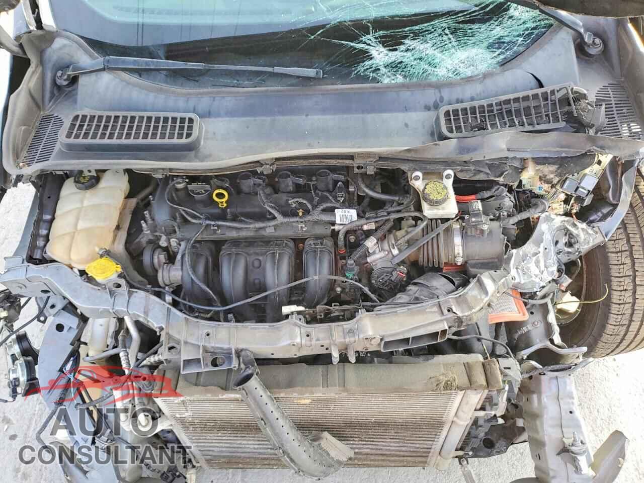 FORD ESCAPE 2014 - 1FMCU0F76EUE46896