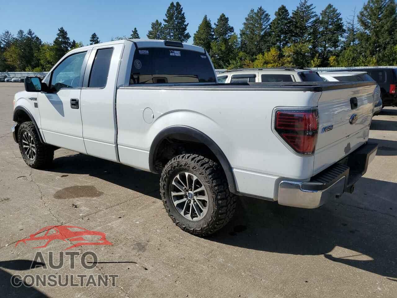 FORD F-150 2013 - 1FTFX1EF3DKD07309