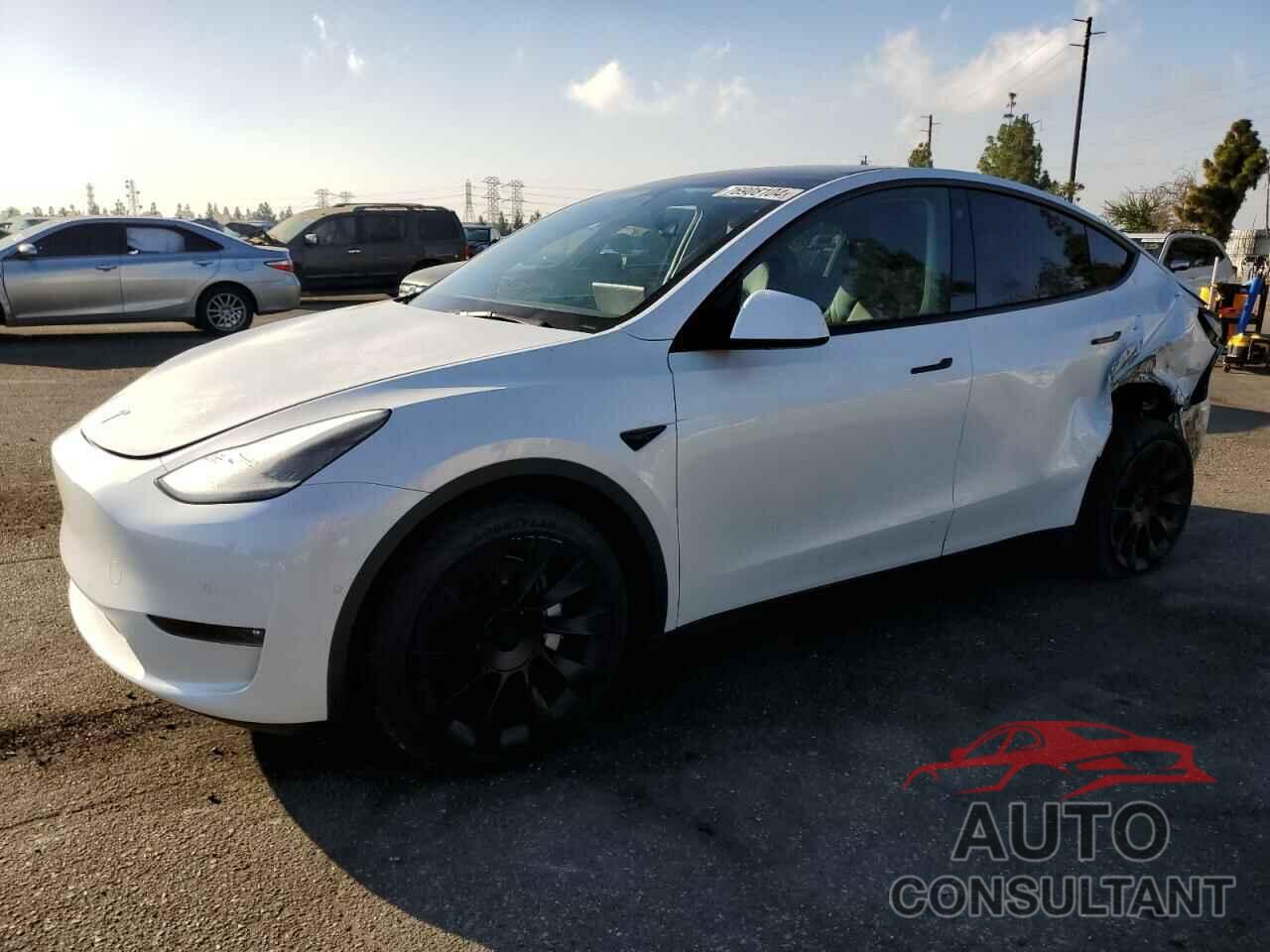 TESLA MODEL Y 2021 - 5YJYGDEE0MF248041