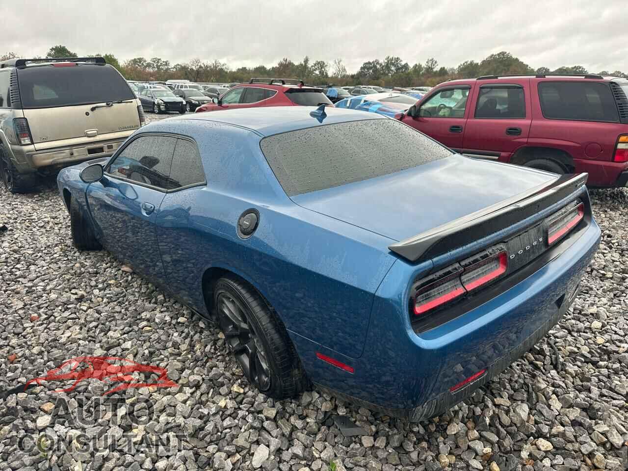 DODGE CHALLENGER 2021 - 2C3CDZFJ3MH609868