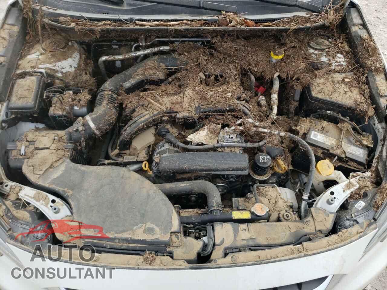 SUBARU LEGACY 2021 - 4S3BWAA64M3012897