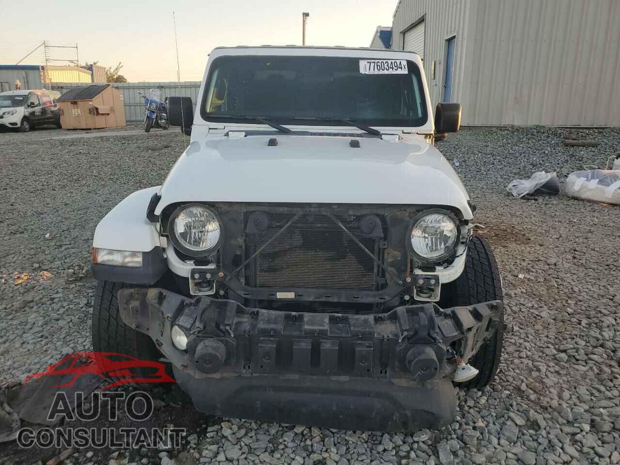 JEEP GLADIATOR 2021 - 1C6JJTAGXML550106