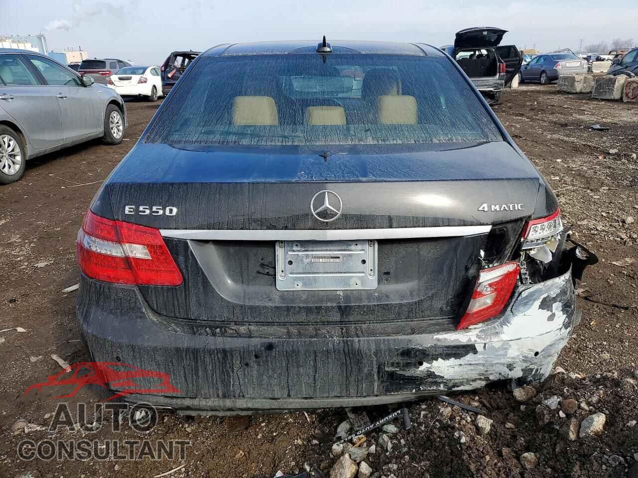 MERCEDES-BENZ E-CLASS 2011 - WDDHF9AB1BA309856