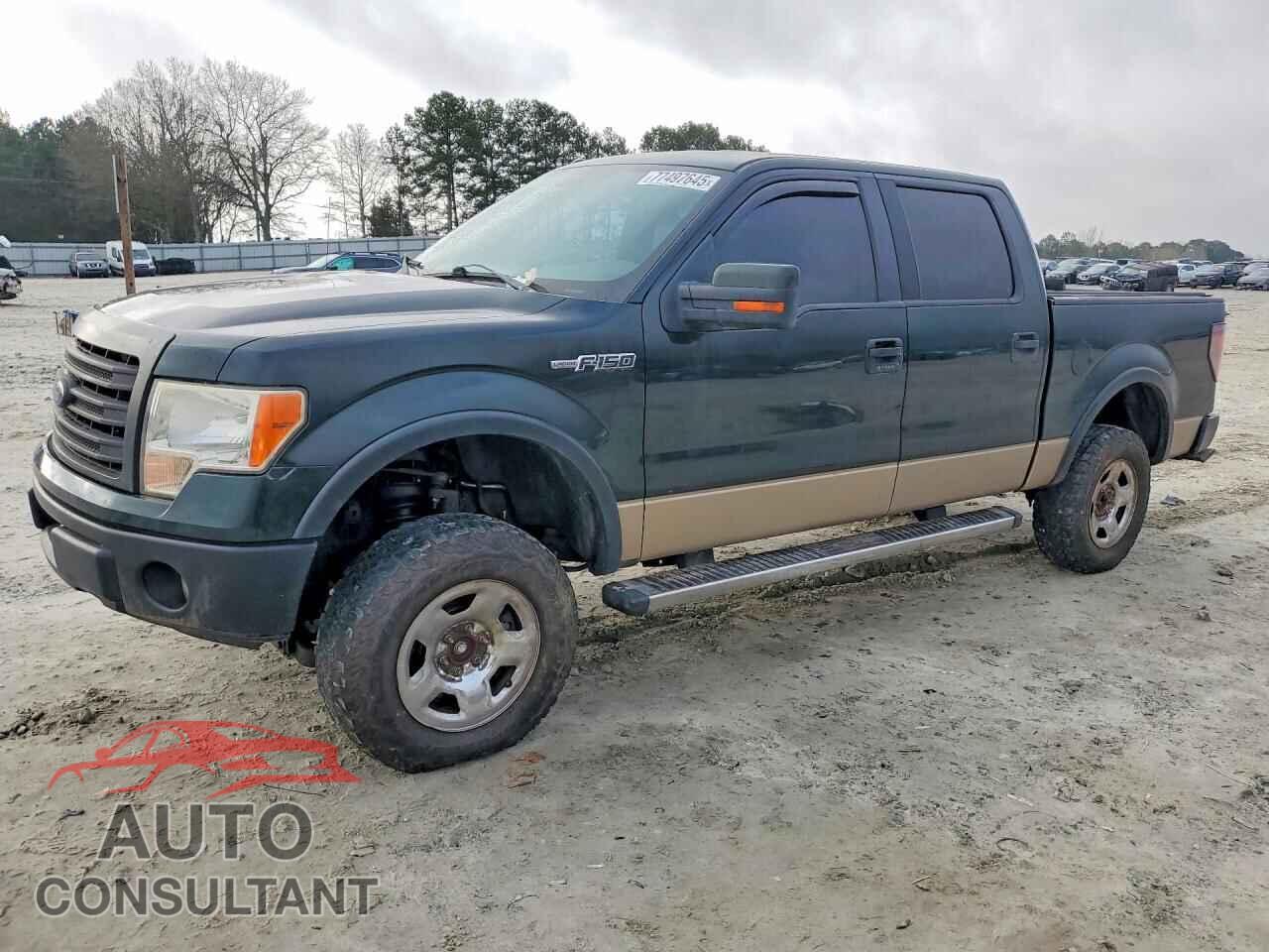 FORD F-150 2013 - 1FTFW1EF8DFD91896