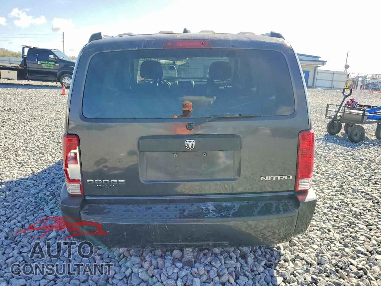 DODGE NITRO 2010 - 1D4PT4GK5AW171879