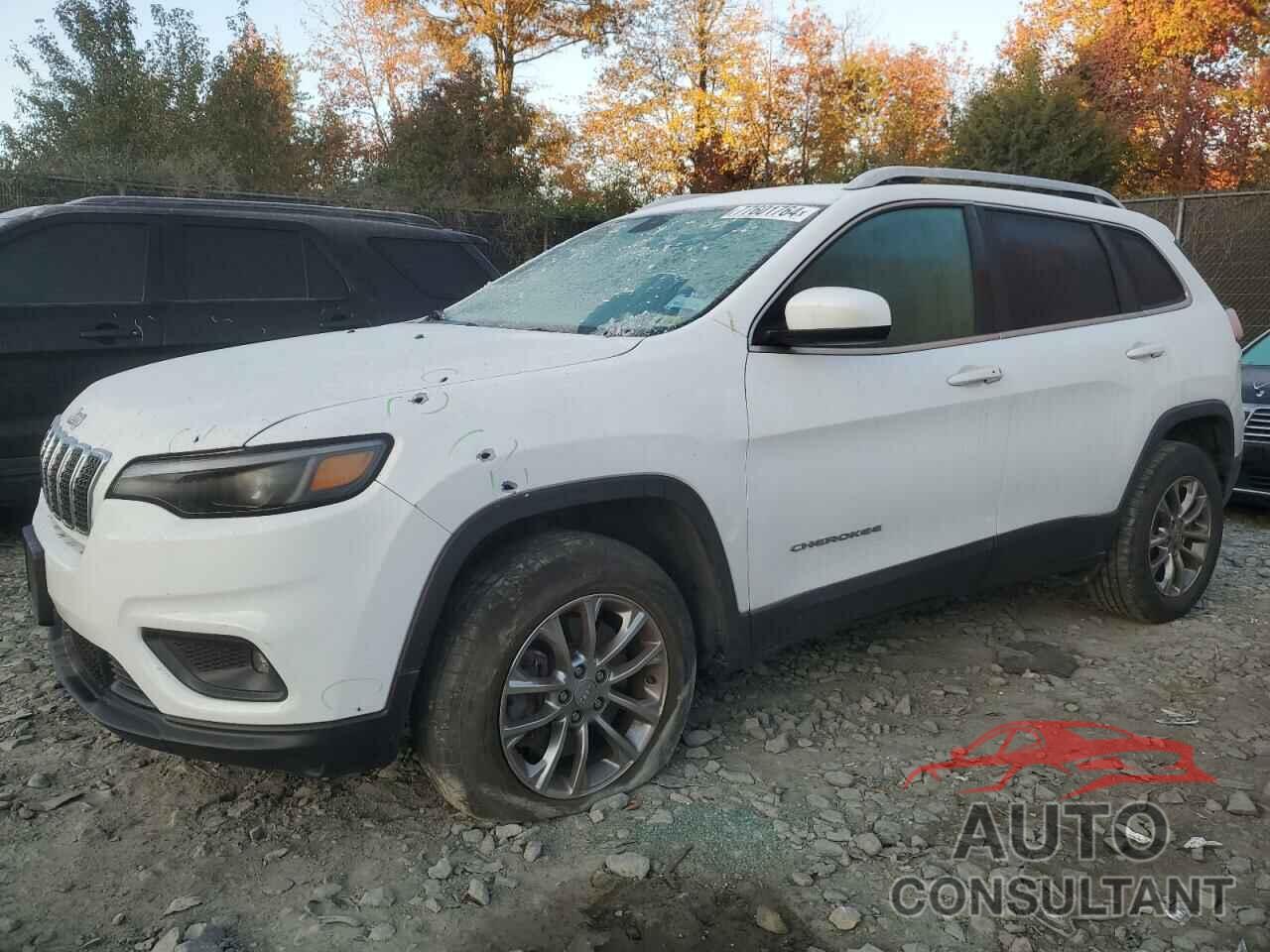JEEP GRAND CHER 2019 - 1C4PJMLB4KD181339