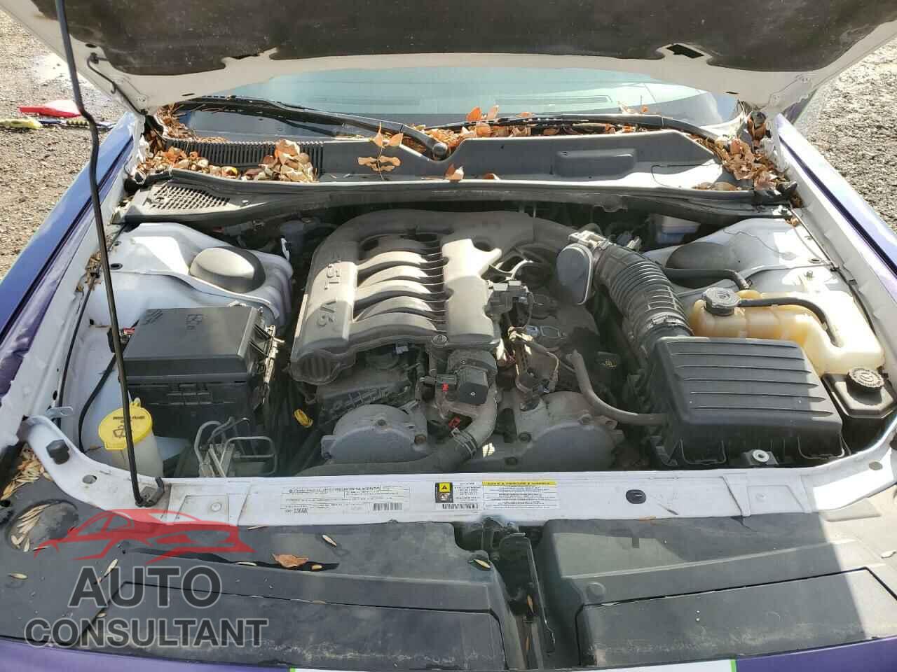 DODGE CHALLENGER 2010 - 2B3CJ4DVXAH321534