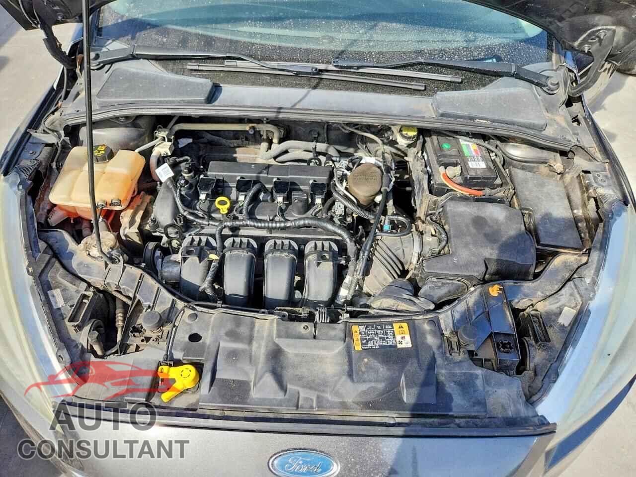 FORD FOCUS 2016 - 1FADP3F25GL305693