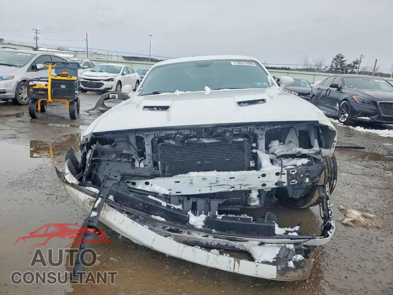 DODGE CHALLENGER 2019 - 2C3CDZAG6KH524659
