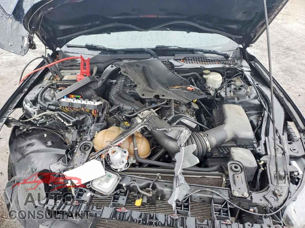 FORD ALL Models 2015 - 1FA6P8AM8F5321694