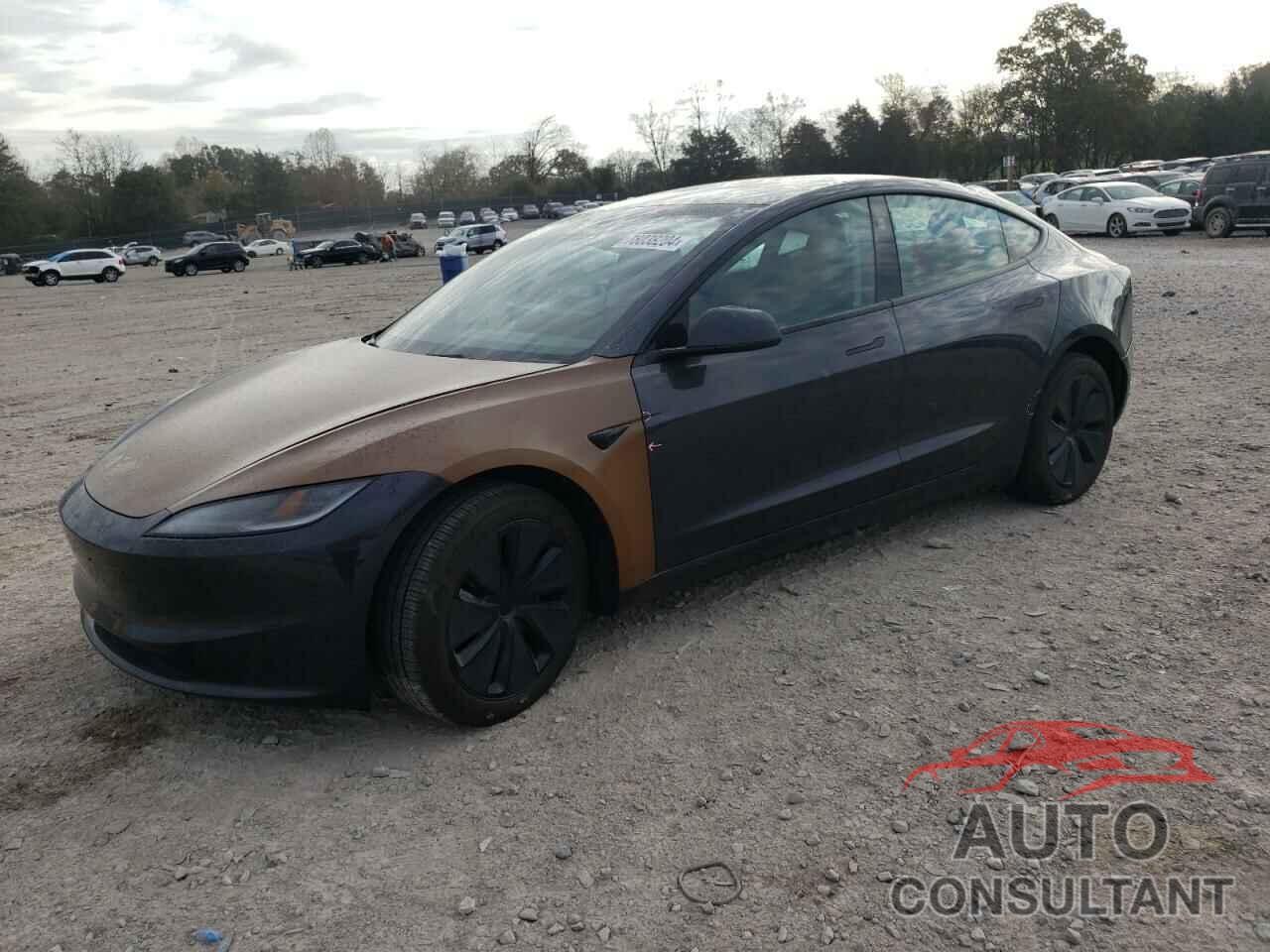 TESLA MODEL 3 2024 - 5YJ3E1EA2RF834825