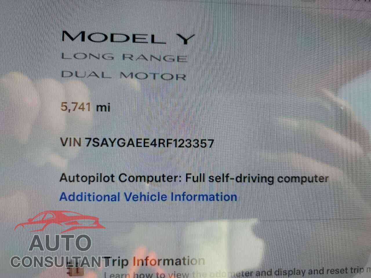 TESLA MODEL Y 2024 - 7SAYGAEE4RF123357