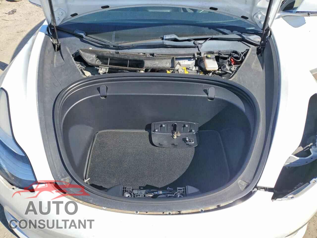 TESLA MODEL 3 2019 - 5YJ3E1EB9KF448191