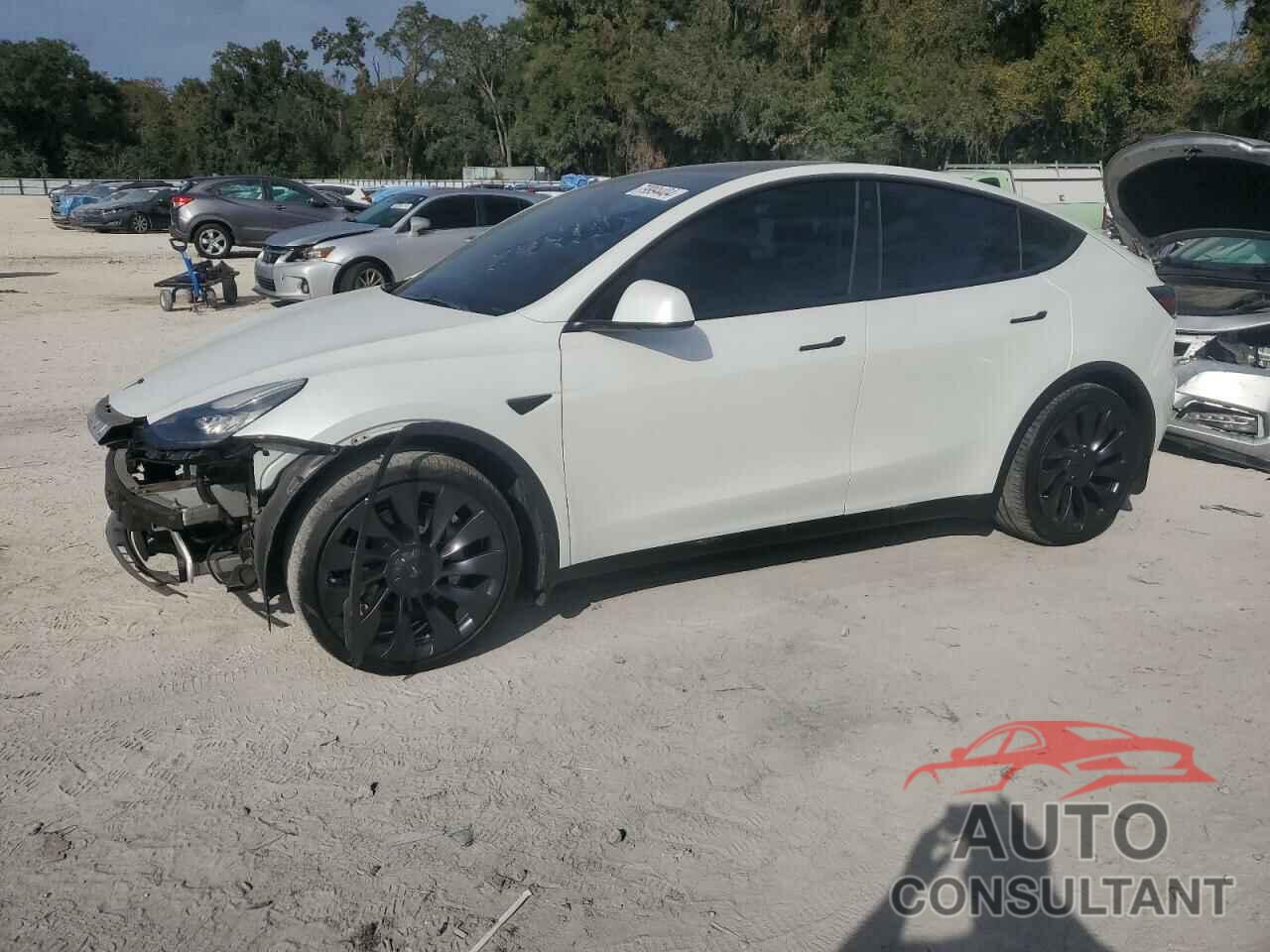 TESLA MODEL Y 2021 - 5YJYGDEE6MF176357