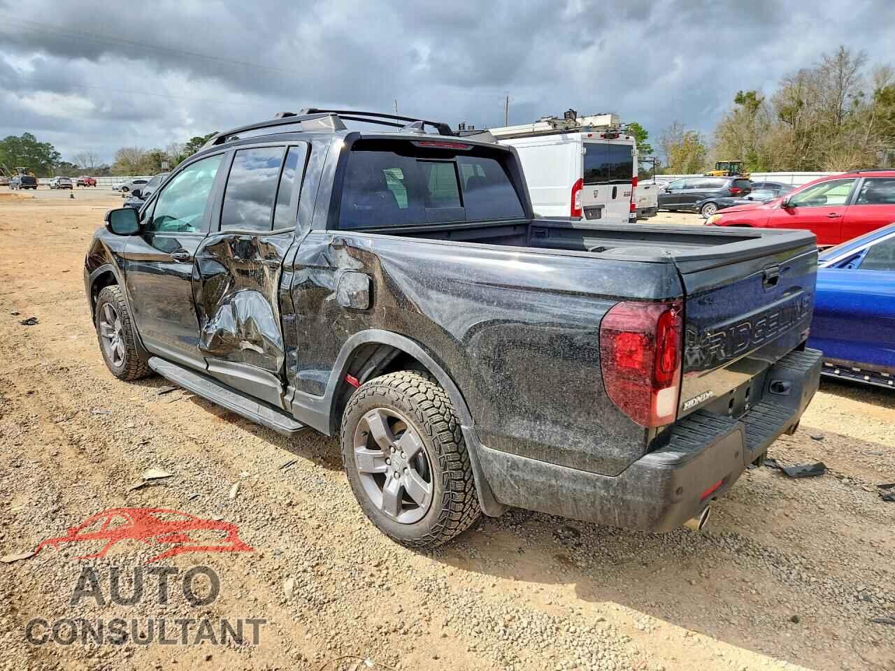 HONDA RIDGELINE 2024 - 5FPYK3F68RB001977
