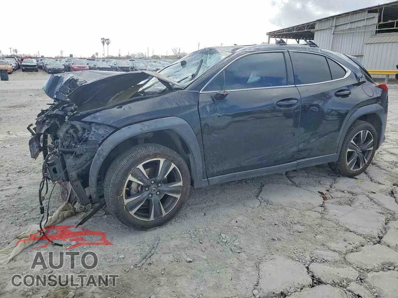 LEXUS UNKNOWN 2019 - JTHY3JBH4K2014556