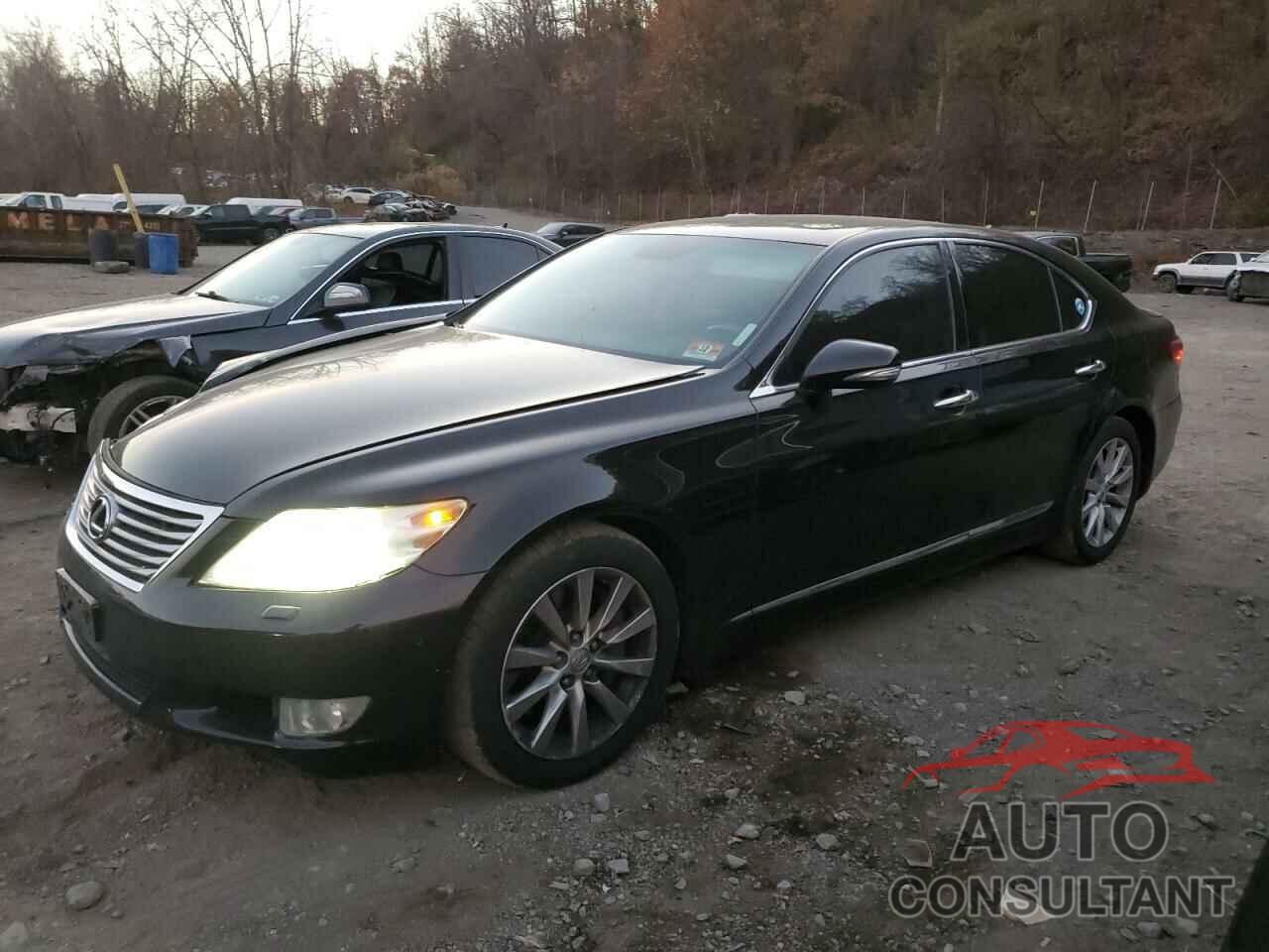 LEXUS LS460 2012 - JTHCL5EF5C5014707