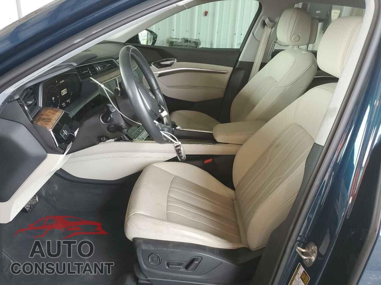 AUDI E-TRON 2019 - WA1LAAGE0KB010935
