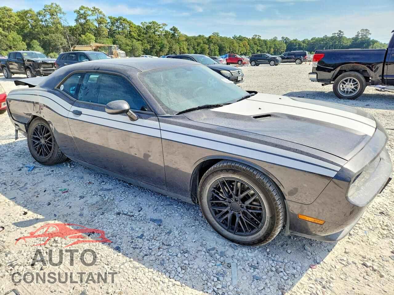DODGE CHALLENGER 2014 - 2C3CDYAG3EH153121