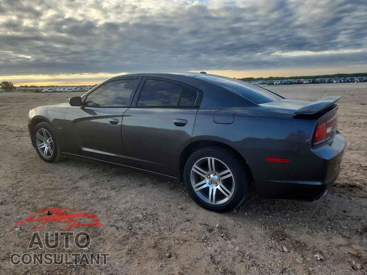 DODGE CHARGER 2013 - 2C3CDXCT8DH692837