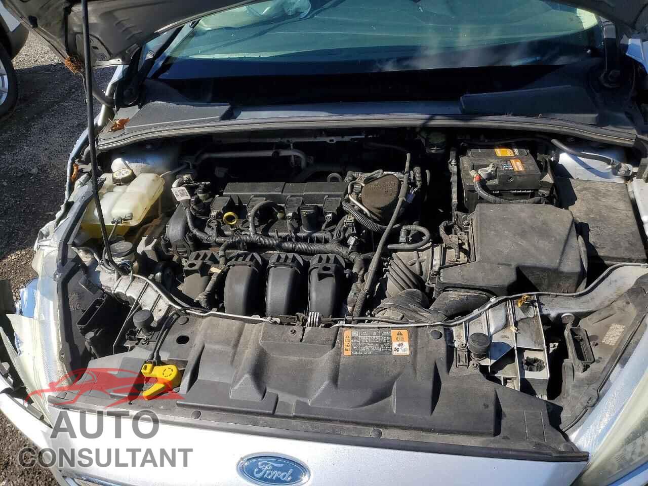 FORD FOCUS 2016 - 1FADP3K28GL320291