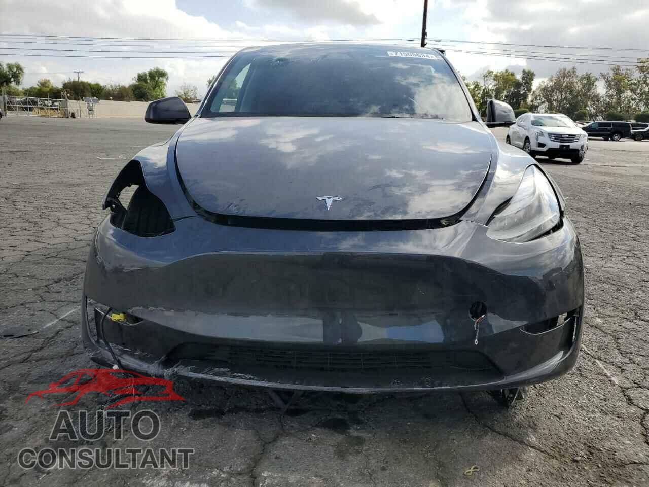 TESLA MODEL Y 2024 - 7SAYGDEE5RF123496