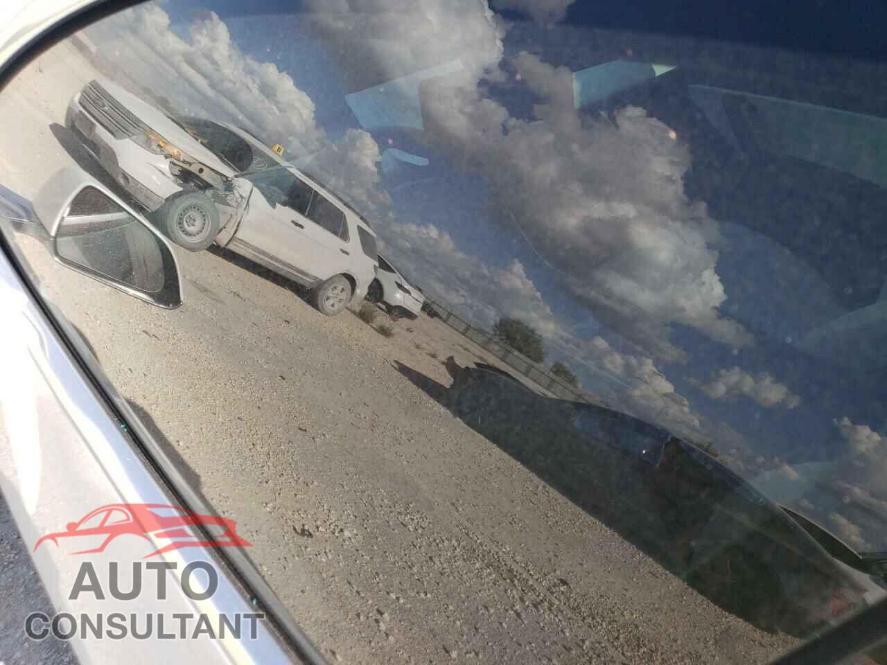 TESLA MODEL 3 2020 - 5YJ3E1EA3LF804966