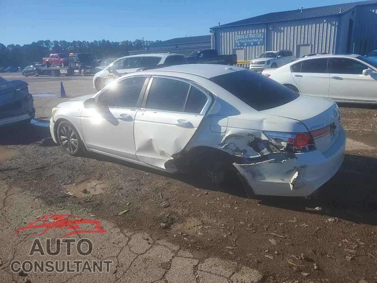 HONDA ACCORD 2011 - 5KBCP3F88BB001006