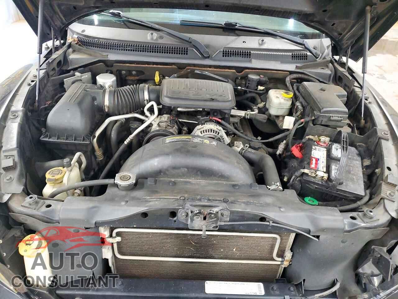 DODGE DAKOTA 2010 - 1D7CW3GK9AS212475