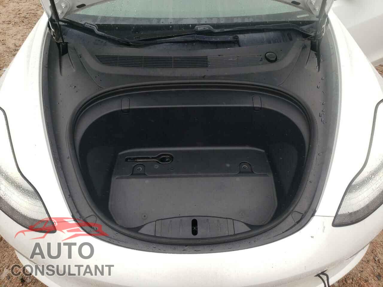 TESLA MODEL 3 2019 - 5YJ3E1EA3KF444760