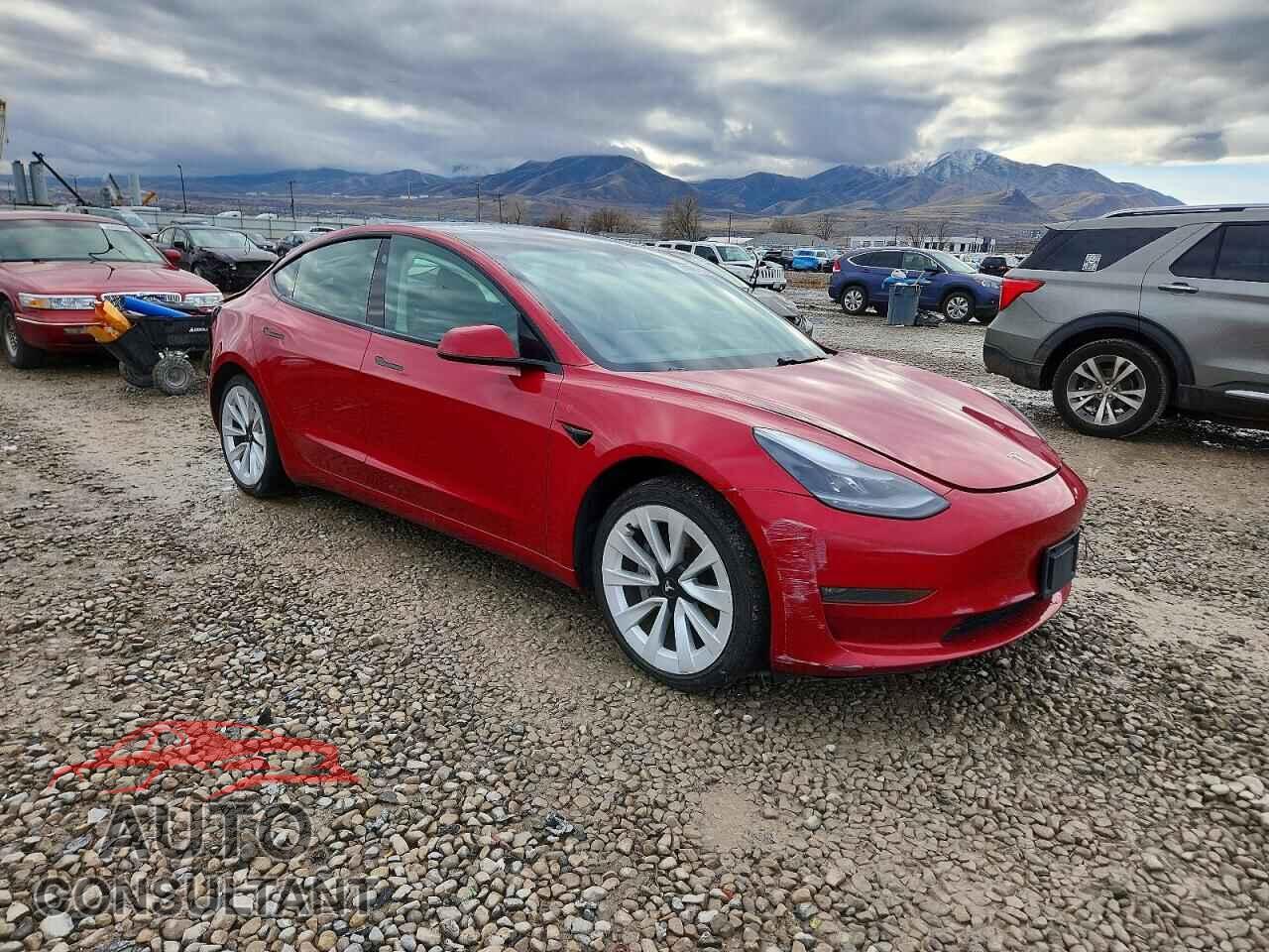 TESLA MODEL 3 2021 - 5YJ3E1EB3MF044547