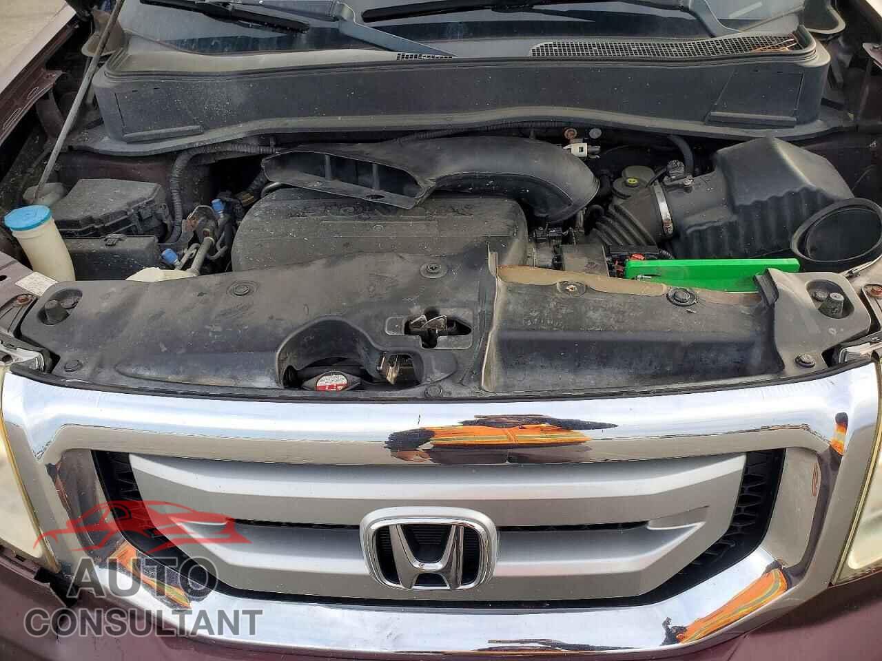 HONDA PILOT 2009 - 5FNYF48969B034812