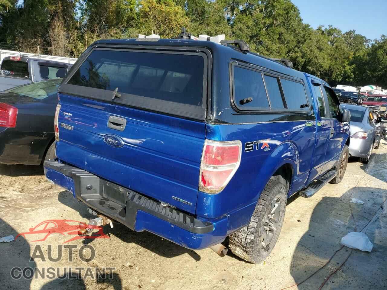FORD F-150 2013 - 1FTFX1EF2DFD79207