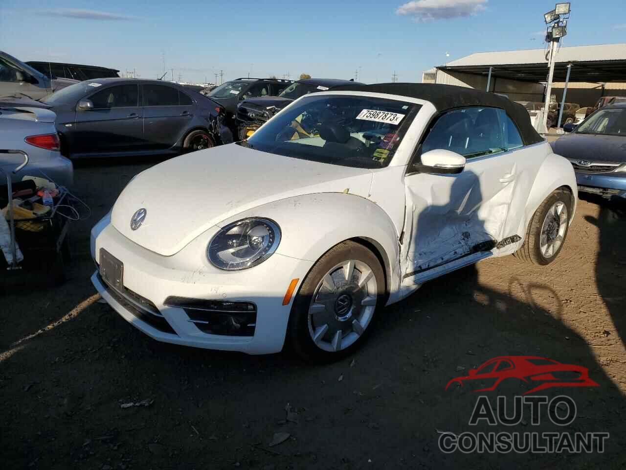 VOLKSWAGEN BEETLE 2019 - 3VW5DAAT3KM502703