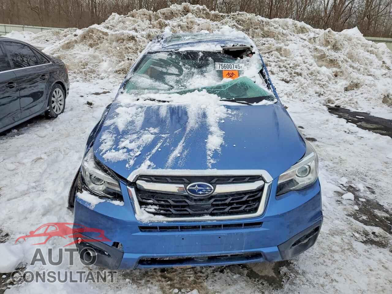 SUBARU FORESTER 2017 - JF2SJARC6HH524065