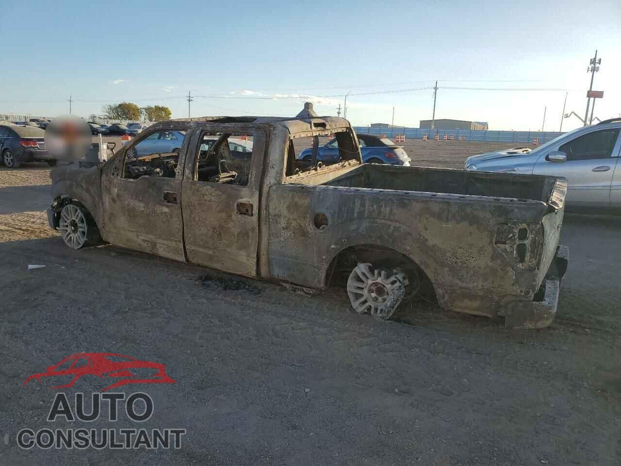 FORD F-150 2011 - 1FTFW1EF3BFB02775