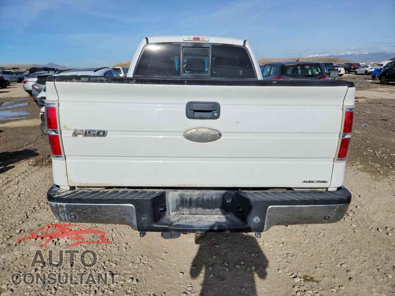 FORD F-150 2011 - 1FTFX1EF8BFB44064