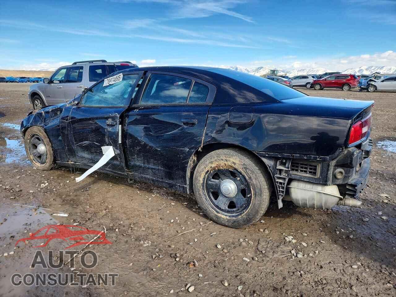 DODGE CHARGER 2014 - 2C3CDXAT3EH367226