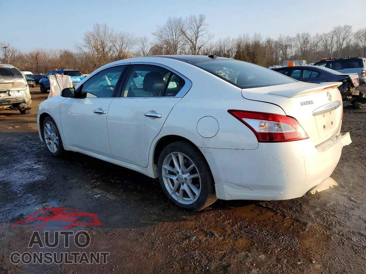 NISSAN MAXIMA 2009 - 1N4AA51E19C860726